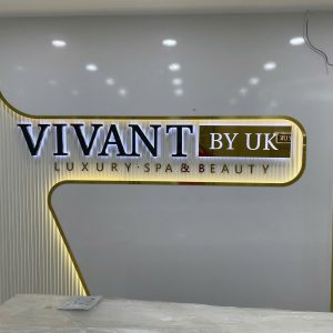 Thi công thẩm mỹ vivant